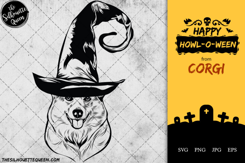 corgi-dog-in-witch-hat-for-halloween