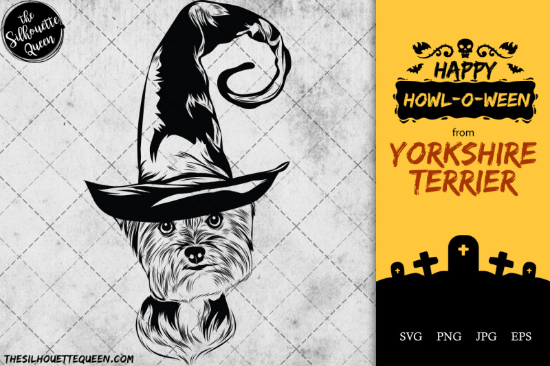 yorkshire-terrier-dog-in-witch-hat-for-halloween