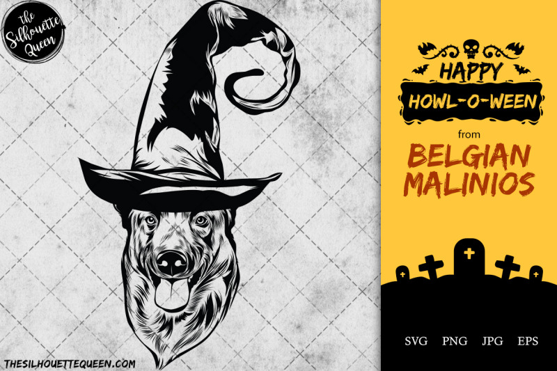 belgian-malinios-dog-in-witch-hat-for-halloween