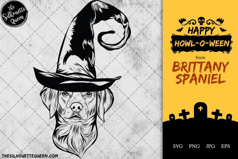 brittany-spaniel-dog-in-witch-hat-for-halloween