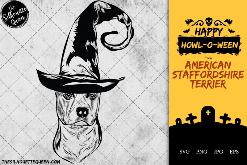 american-staffordshire-terrier-dog-in-witch-hat-for-halloween