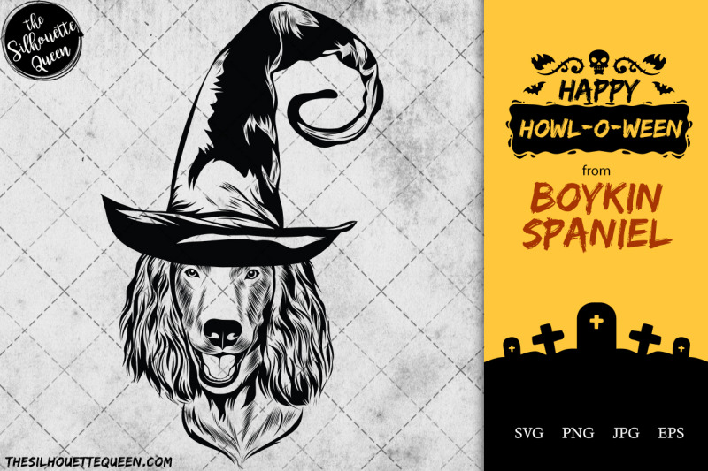 boykin-spaniel-dog-in-witch-hat-for-halloween