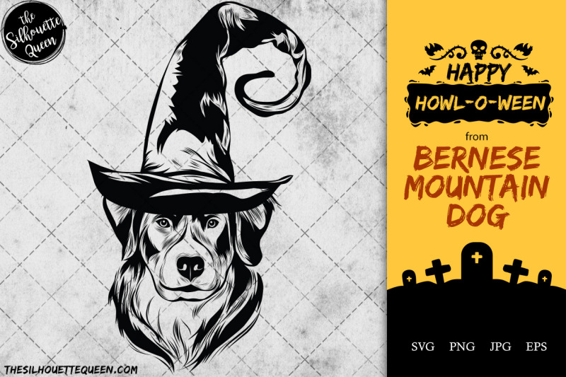 bernese-mountain-dog-dog-in-witch-hat-for-halloween