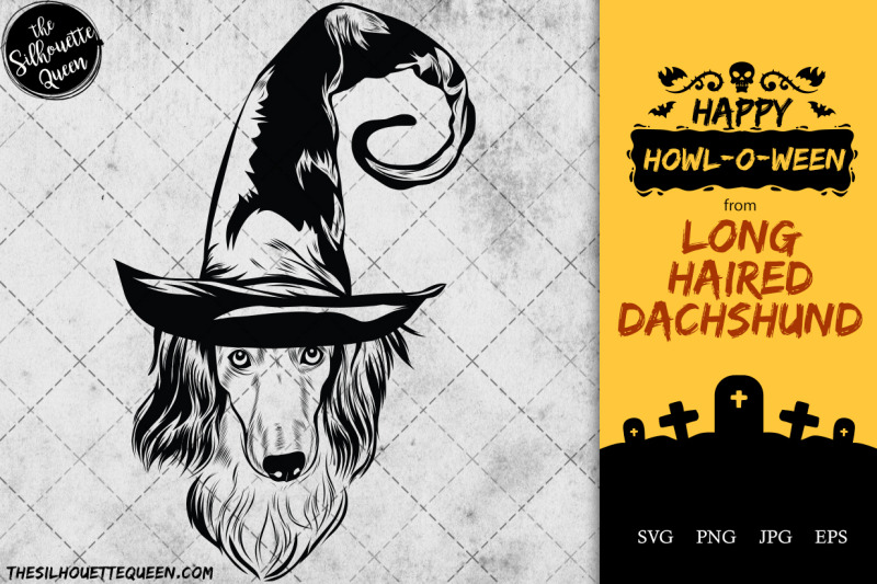 long-haired-dachshund-dog-in-witch-hat-for-halloween