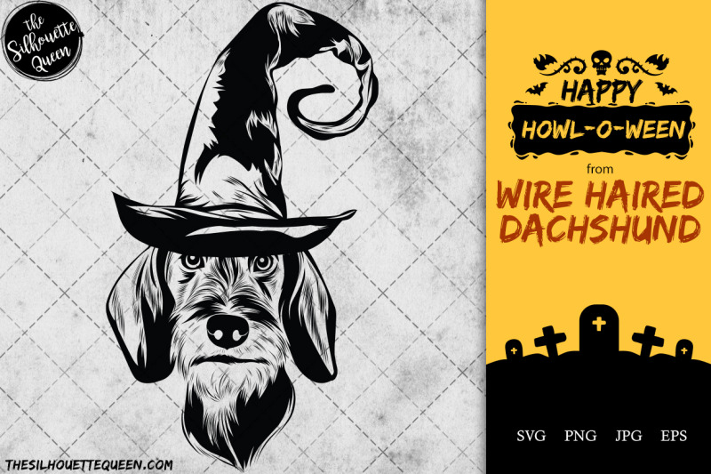 wire-haired-dachshund-dog-in-witch-hat-for-halloween