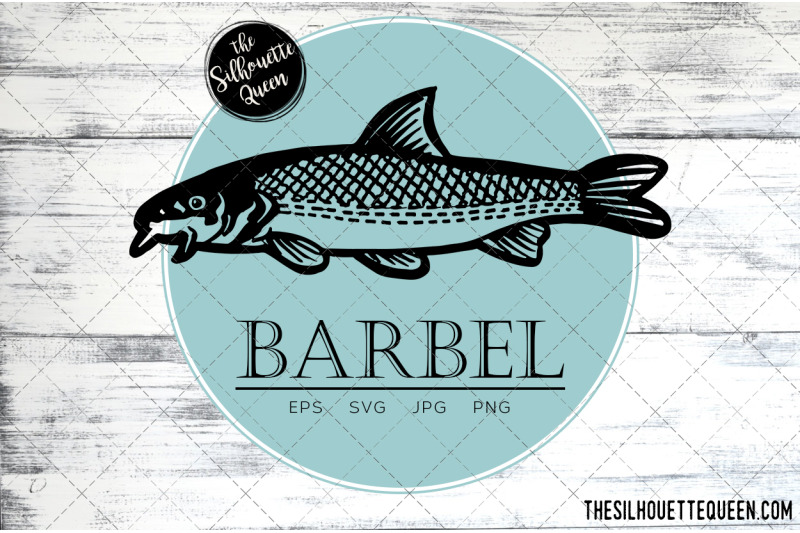 hand-drawn-sketched-barbel-fish-vector