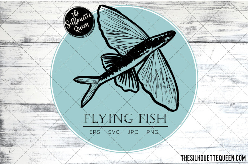 hand-drawn-sketched-flying-fish-fish-vector