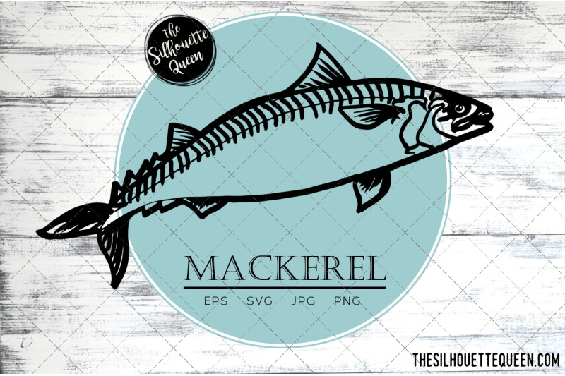 hand-drawn-sketched-mackerel-fish-vector