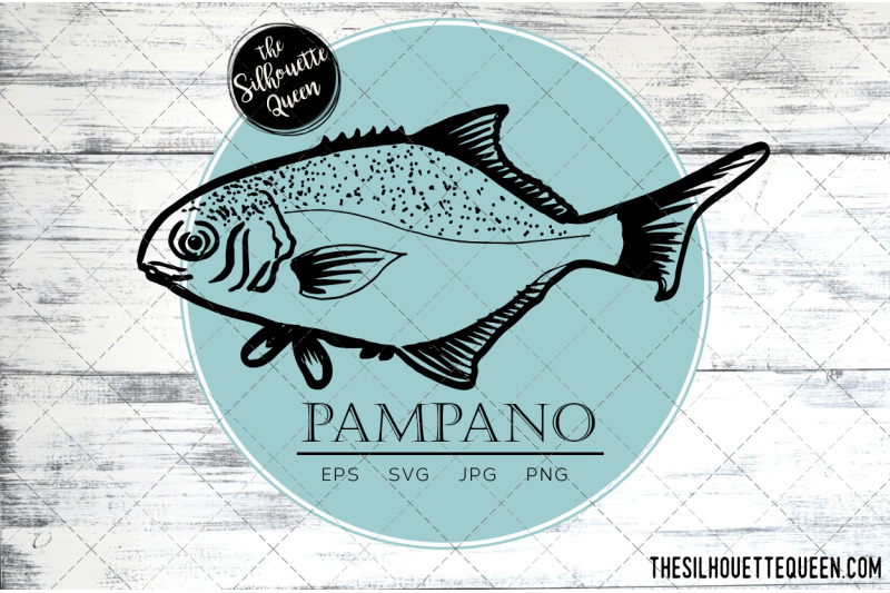 hand-drawn-sketched-pampano-fish-vector