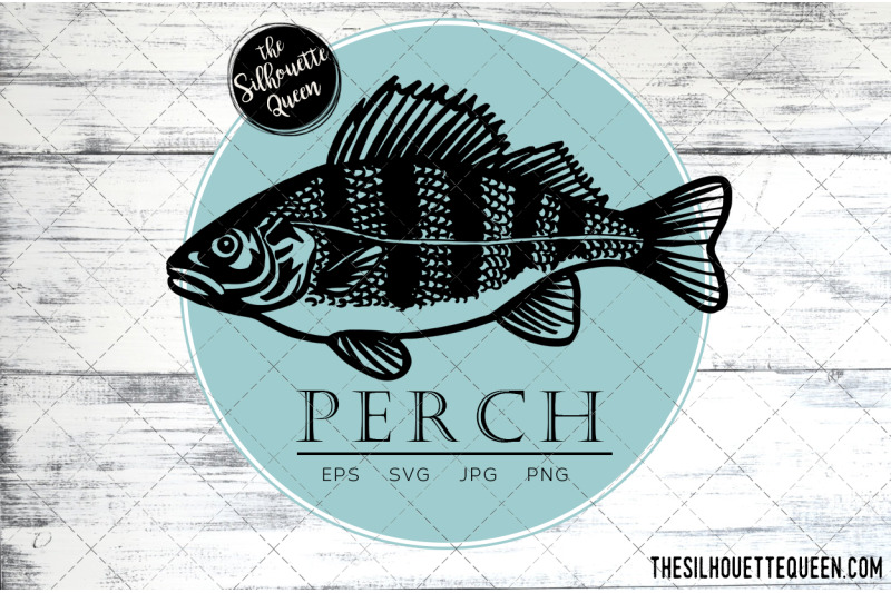 hand-drawn-sketched-perch-fish-vector
