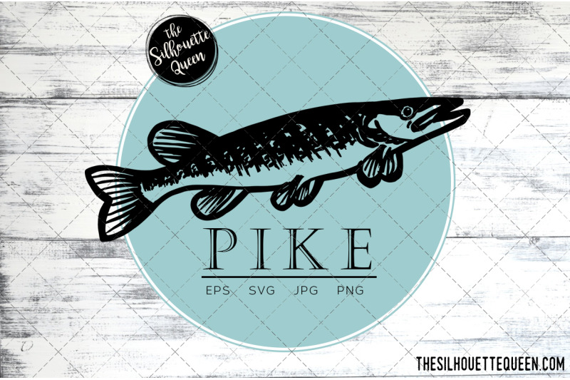 hand-drawn-sketched-pike-fish-vector