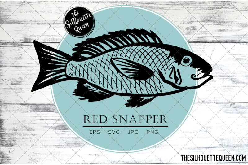 hand-drawn-sketched-red-snapper-fish-vector