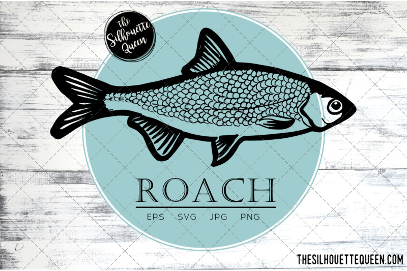 hand-drawn-sketched-roach-fish-vector