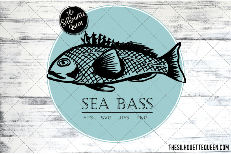 hand-drawn-sketched-sea-bass-fish-vector