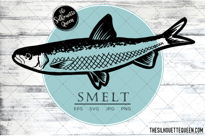 hand-drawn-sketched-smelt-fish-vector