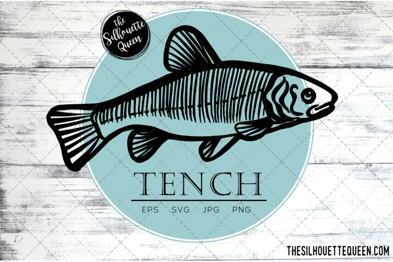 hand-drawn-sketched-tench-fish-vector