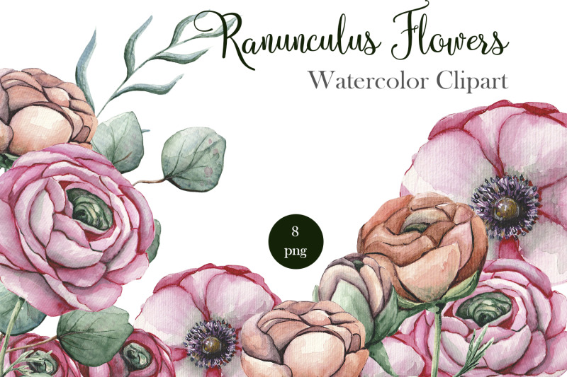 ranunculus-floral-watercolor-clipart