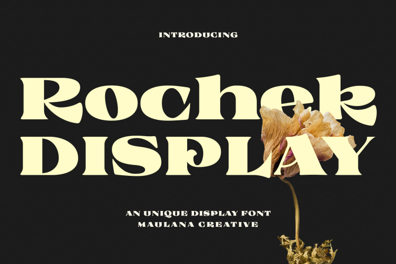 rochek-vintage-serif-display-font