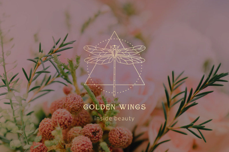golden-wings-dragonfly-premade-logo-designs-and-branding-kit-tattoo