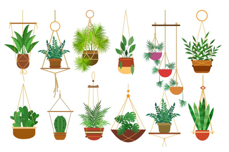 hanging-pots-plants