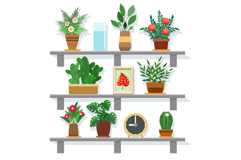 indoor-office-plants