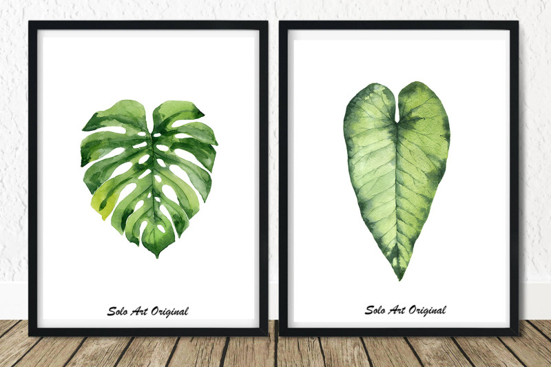 tropical-leaves-monstera-palm-banana-greenery-leafy-clipart-element-pn