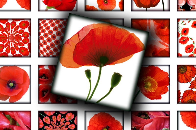 digital-collage-sheet-red-poppies