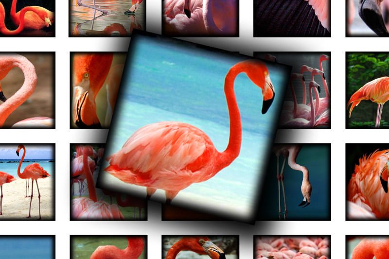 digital-collage-sheet-pink-flamingo