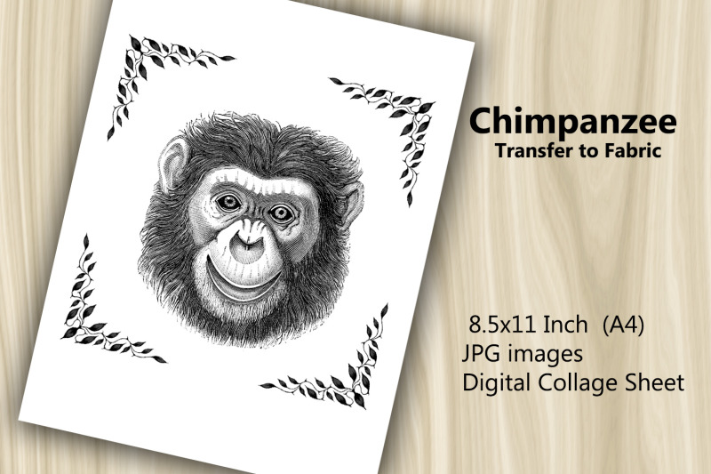 transfer-to-fabric-sheet-chimpanzee