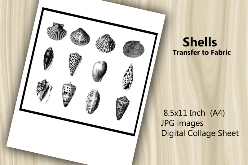 transfer-to-fabric-sheet-shells