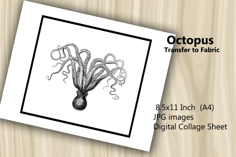 transfer-to-fabric-sheet-octopus