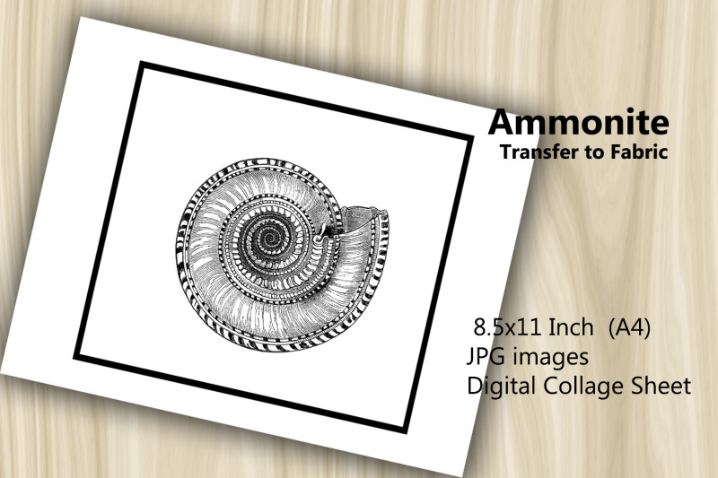 transfer-to-fabric-sheet-ammonite