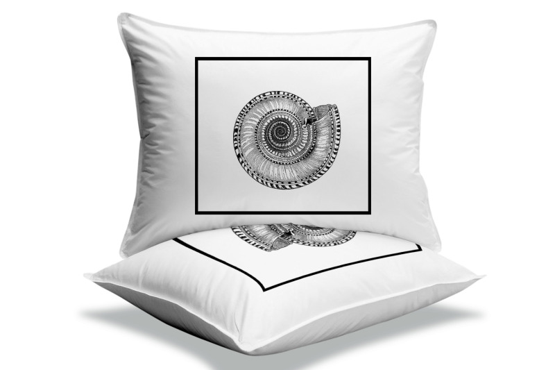 transfer-to-fabric-sheet-ammonite