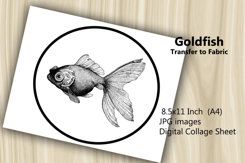 transfer-to-fabric-sheet-goldfish