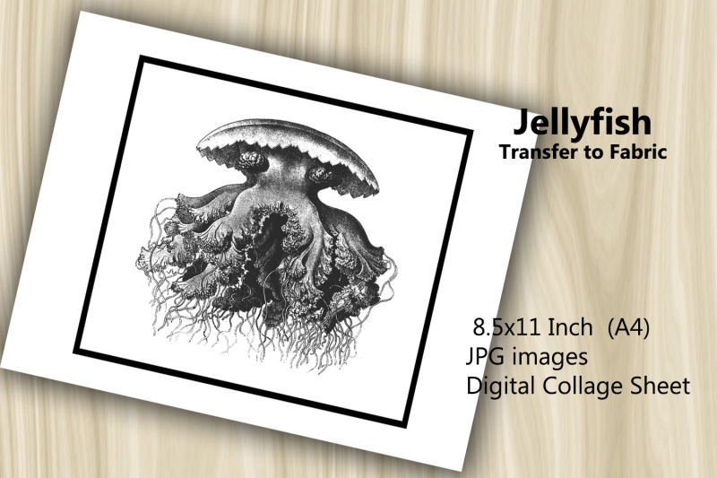 transfer-to-fabric-sheet-jellyfish