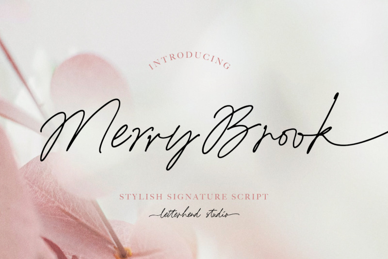 merry-book-signature-script