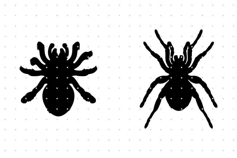 tarantula-svg-clipart