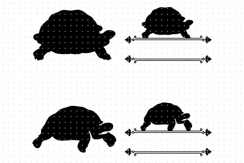 tortoise-and-turtle-svg-clipart