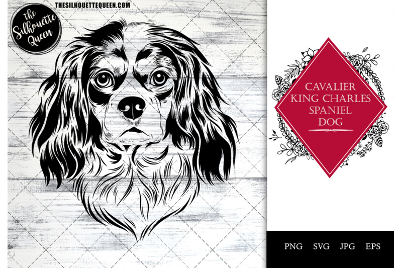 cavalier-king-charles-spaniel-dog-funny-head-vector