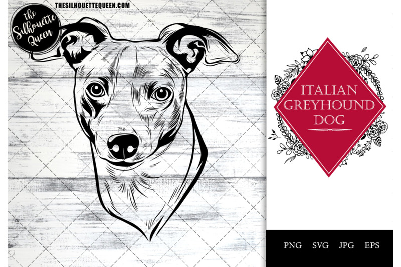 italian-greyhound-dog-funny-head-vector