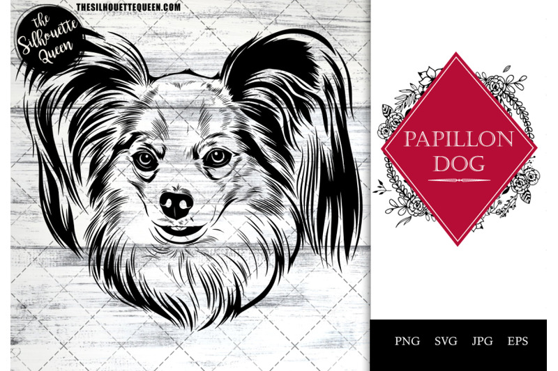 papillon-dog-funny-head-vector