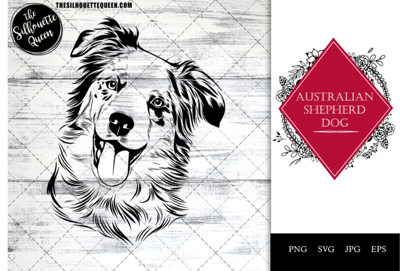 australian-shepherd-dog-funny-head-vector