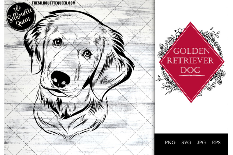 golden-retriever-dog-funny-head-vector