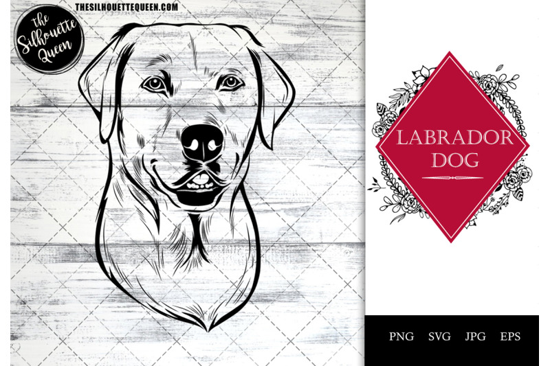 labrador-dog-funny-head-vector