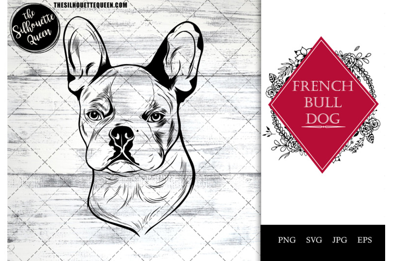 french-bulldog-dog-funny-head-vector