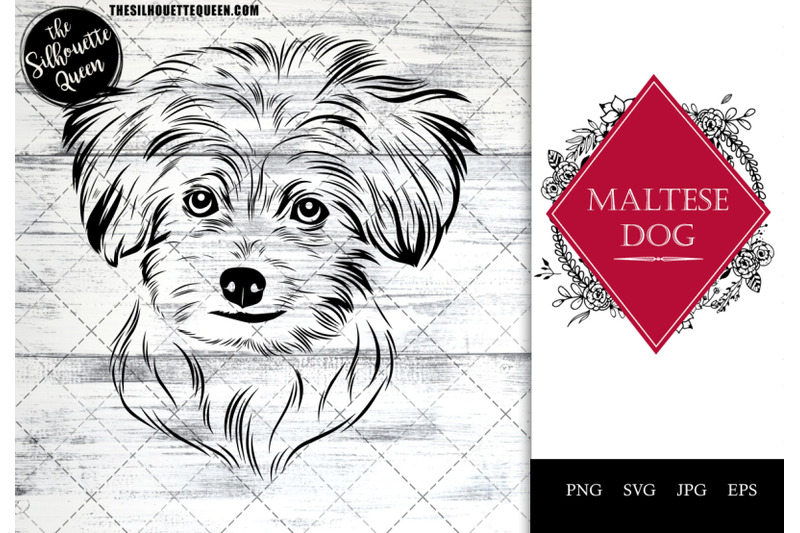 maltese-dog-funny-head-vector