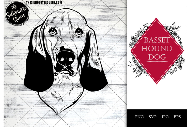 basset-hound-dog-funny-head-vector