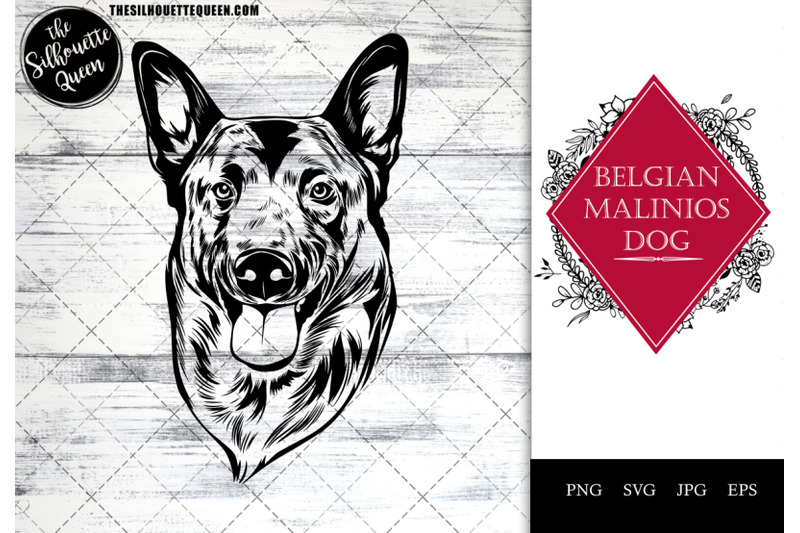 belgian-malinios-dog-funny-head-vector