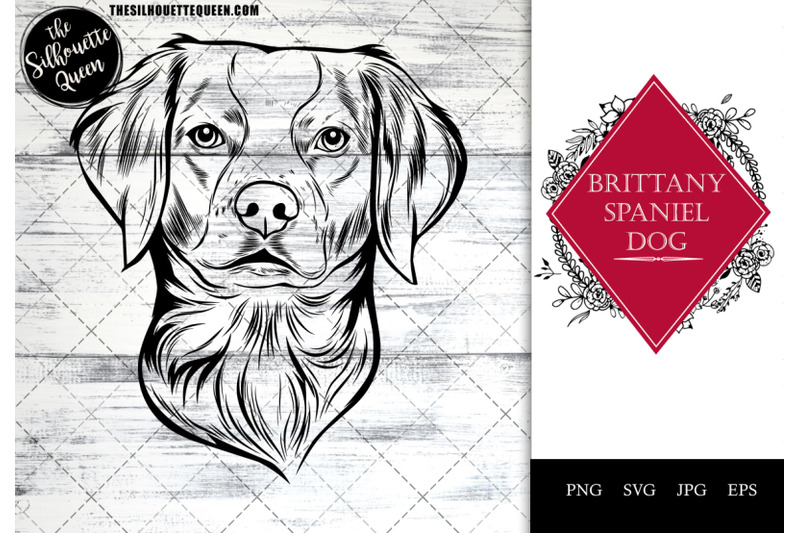 brittany-spaniel-dog-funny-head-vector