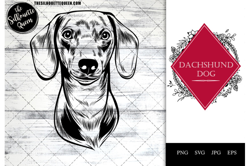 dachshund-dog-funny-head-vector